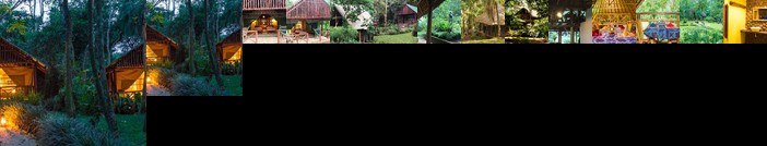 Kibale Forest Camp Kyenjojo