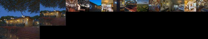 Lions Paw Ngorongoro