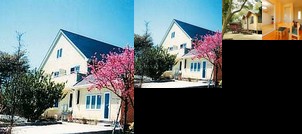 Naka Izu Shiraiwa Onsen Resort Pension Pinocchio