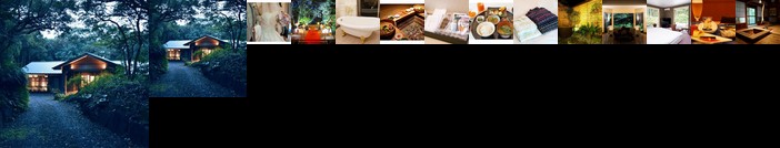 Yakushima Shizukunomori Yakushima