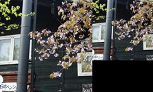 Zao Bodaira Onsen Ishii Pension