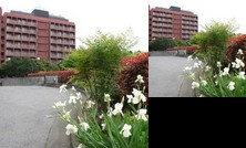 National Women's Education Center of Japan