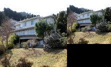 Sarugaku Onsen Resort