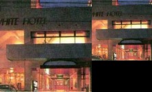 Fuji White Hotel