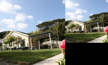 Hawaiian Loco Home Hana Hou