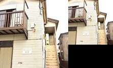 T-Reef Vacation House Pine Leaf