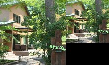 Fuji no Sumika Lis BLanc