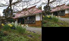 Noen Minpaku Saika no Sho