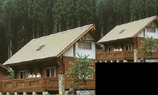 Tokinosumika Morinokuni