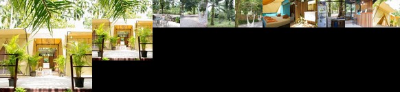 Tonphet Greenery Garden