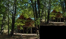 Casa Alto Palguin Pucon