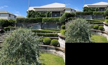 Villa Rosa Christchurch