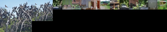 Del Mar Home Stay and Cafe