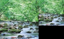 Cork's Creekside - 3 Br cabin by RedAwning