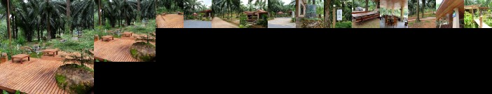 Tonpalm Farmstay