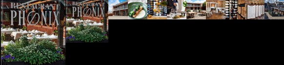 Phonix Hotel Holstebro