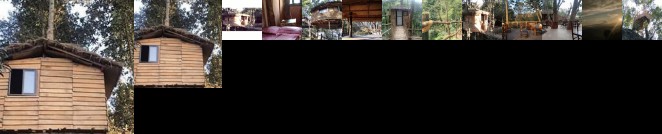 Bunjungle Adventures