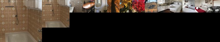 The Ginger Bread House