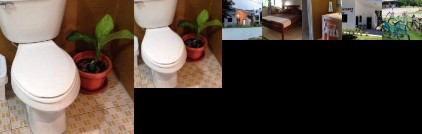 The Adventures Inn-Peleliu