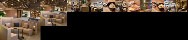 Plaza Premium Lounge - Singapore T1