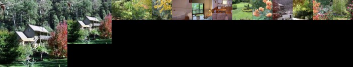 Shady Brook Cottages