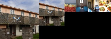 Seagull-Inn Iki