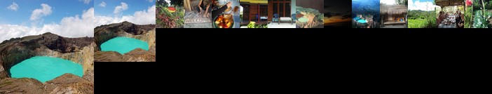 Palm Bungalow Flores