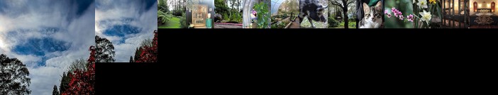 Tomah Retreat - Relax & Heal at UNWIND