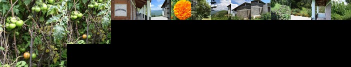 Villotale Nagthat MN