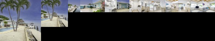 Yellowtail for dinner