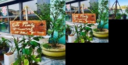 CoTo Family Homestay