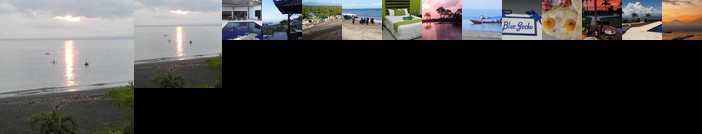 Blue Gecko West Bali