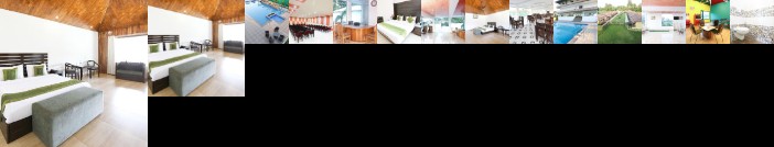 Treebo Tigers Pug Marks