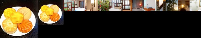 Habitat Quadrangle North Luogu- Flagship