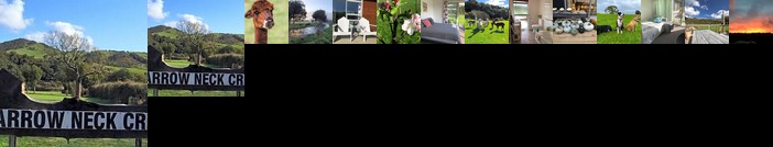 Narrow Neck Creek Farmstay and B&B
