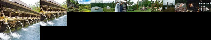 Bubble Hotel Ubud