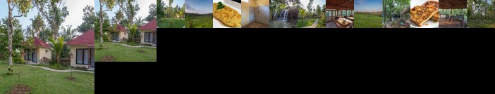 Bali Green Retreat & Spa