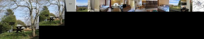 Skyleaf D_1 1 Bedroom 1 Bathroom Condo