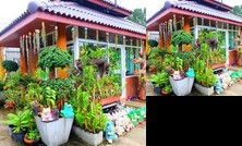 Klangnam Resort Phunphin