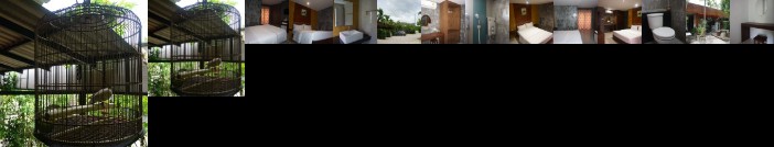 Rommai Plai Tawan Trang