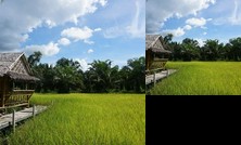 Jae's Garden Home Resort