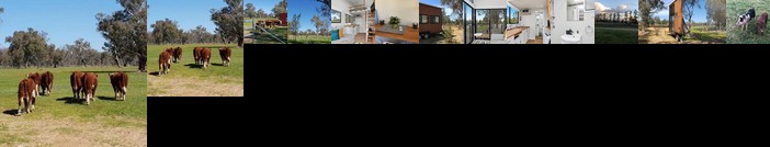 Big Tiny Jindera Park