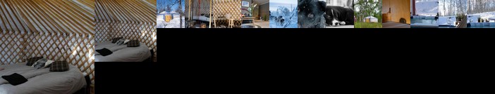 Aurora Yurt
