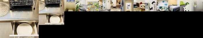 Yu Yu House Yada Frog