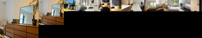 Brussels in the wood