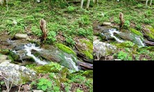 A_wild_woods_retreat