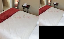 Tap's Home Away from Home