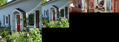 Mr Toad's Happy Place