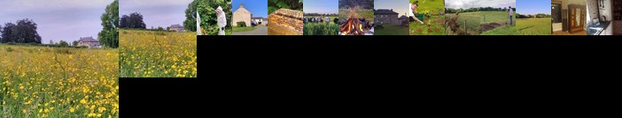 Castletownmoor Clinic & Permaculture Farm