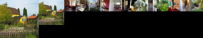 Perenner pa bakgarden